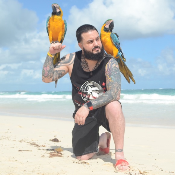 Meet your Posher, Paul - Picture 1 of 1